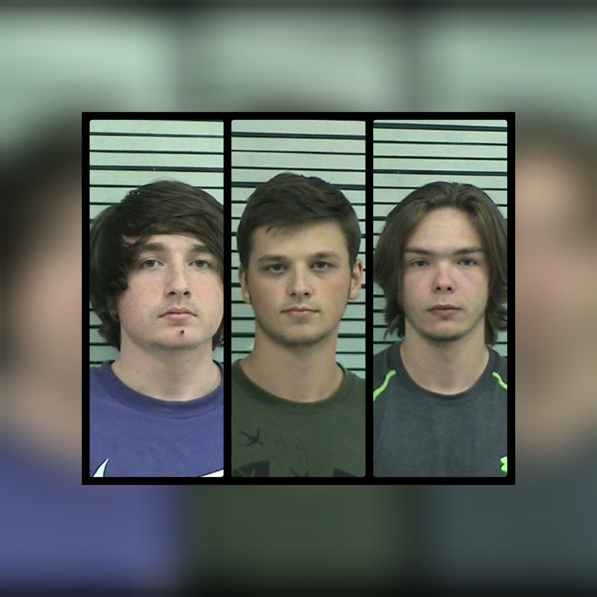 4 Arrested During Burglary Call