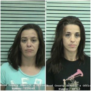 HCSO: Warrant Service Snags Harboring Charge | Hood County Today