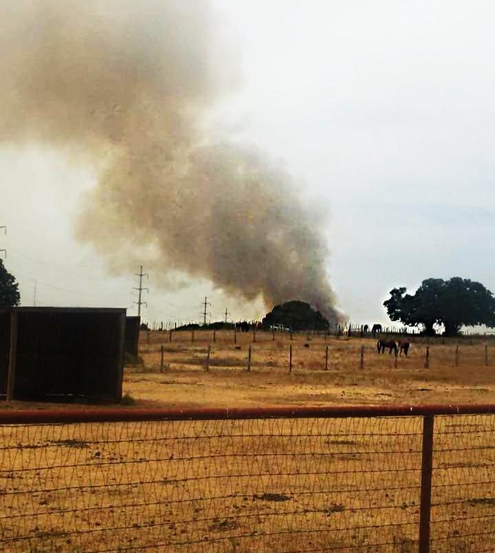 Large Grass Fire Threatens Animals- Community Responds Promptly!