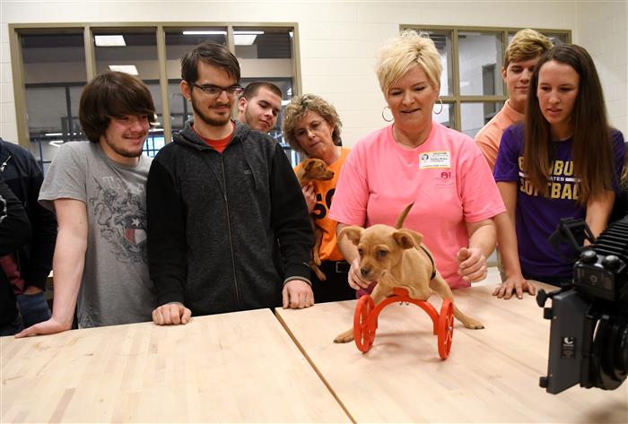 ENGINEERING STUDENTS TAKE ON PUPPY PROJECT