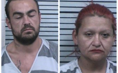 Drug Investigation Nets 2 Drug arrest